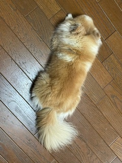 image10.jpeg