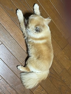 image13.jpeg
