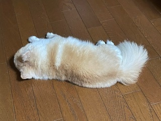 image16.jpeg
