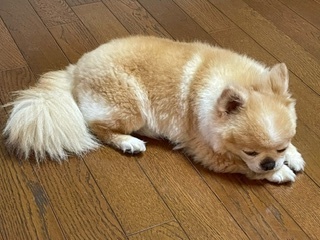 image19.jpeg