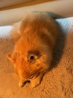 image64.jpeg